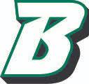 Binghamton University